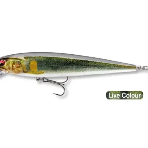 DAIWA PROREX Minnow 120 F-SR live ayu 12cm 17g 1st Expressversand