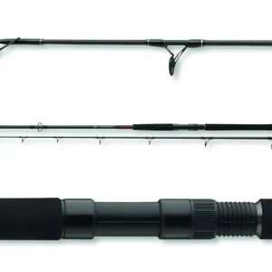 DAIWA Exceler Catfish Boje 1002XXH 2S 200-600g 3.00m Knallerangebot